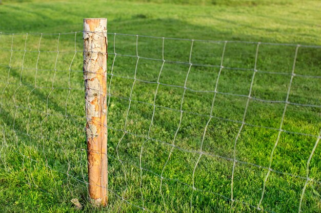 Poste de madeira e cerca de arame, com prado verde no fundo. Grade de fazenda.