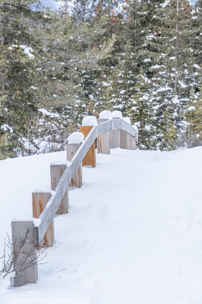 Poste de vedação na floresta coberta de neve no Parque Nacional de Banff