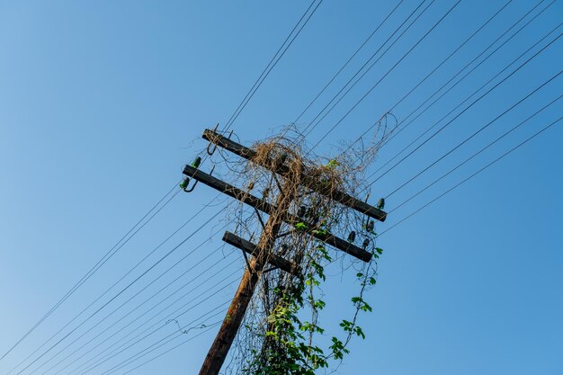 Foto un poste eléctrico de madera junto a las vías del ferrocarril