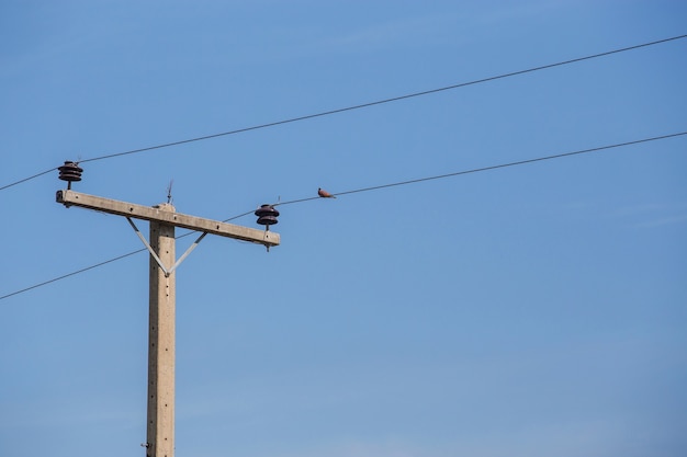 Poste eléctrico y palomas pararse en los cables con fondo de cielo azul