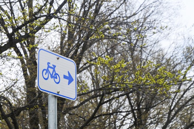 Poste indicador de bicicleta en un bosque