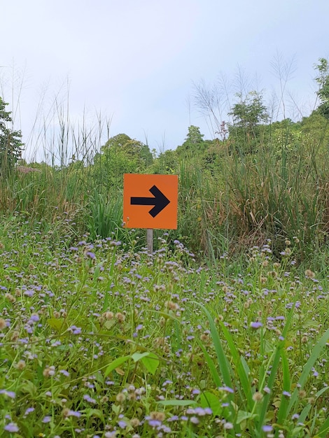 Poste indicador a la derecha en un sendero forestal