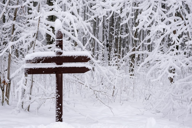 Poste indicador con dos punteros en un fabuloso bosque de invierno cubierto de nieve.