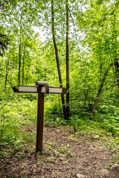 Poste indicador de madera con flechas al lado del camino en el bosque de verano