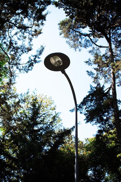 Poste de luz en el parque