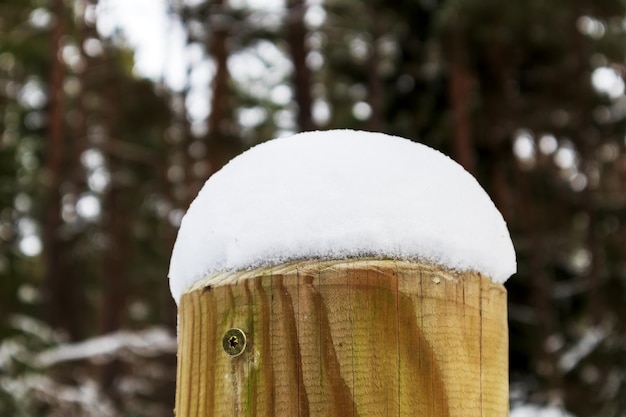 Un poste de madera claro cubierto de nieve blanca con muchos árboles verdes en el fondo