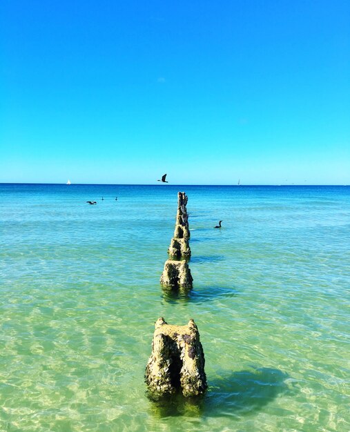 Foto el poste de madera desgastado en el mar contra un cielo despejado