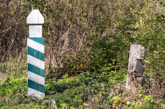 Poste de madera con rayas verdes y blancas en el bosque. Marca territorial. Copie el espacio.