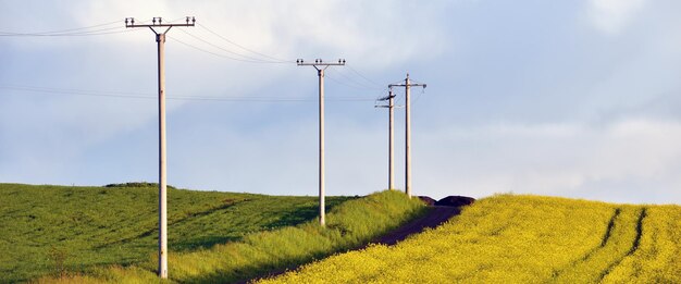 Foto los postes de electricidad en un campo agrícola