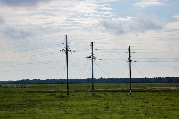 Postes de electricidad en un campo verde en verano