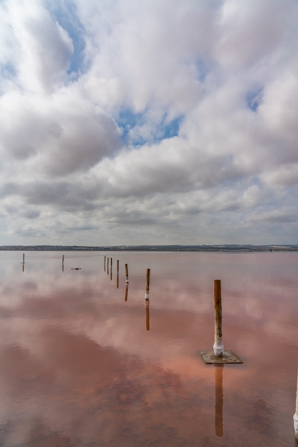 Postes de madera en el lago salado rosa con reflejo en el agua de las nubes, Laguna Rosa, Torrevieja, vertical