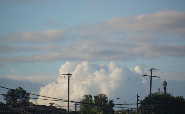 Unos postes de teléfono con un cielo azul de fondo