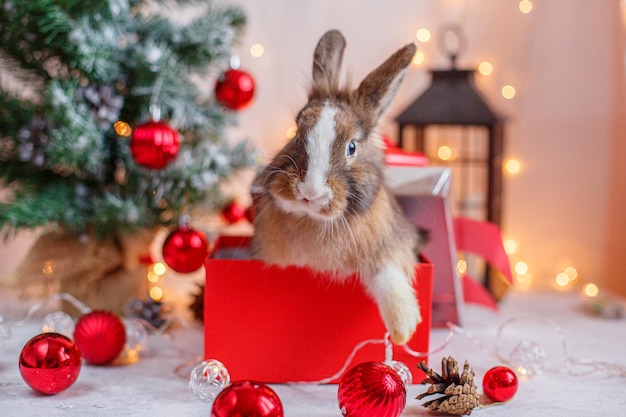 Postkartenkaninchen des neuen Jahres auf dem Hintergrund eines Weihnachtsbaums und der Girlanden