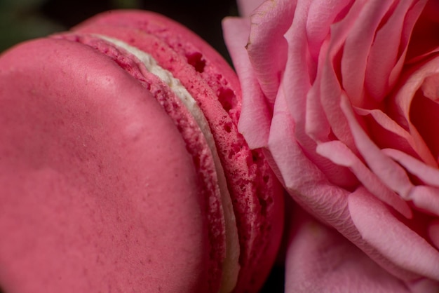 Postre dulce macaron y rosa roja Primer plano Macro Macaron rojo Comida fondo dulce