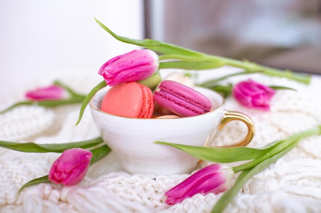 Postre dulce, macarrones en taza dorada y tulipanes rosas sobre fondo de lana