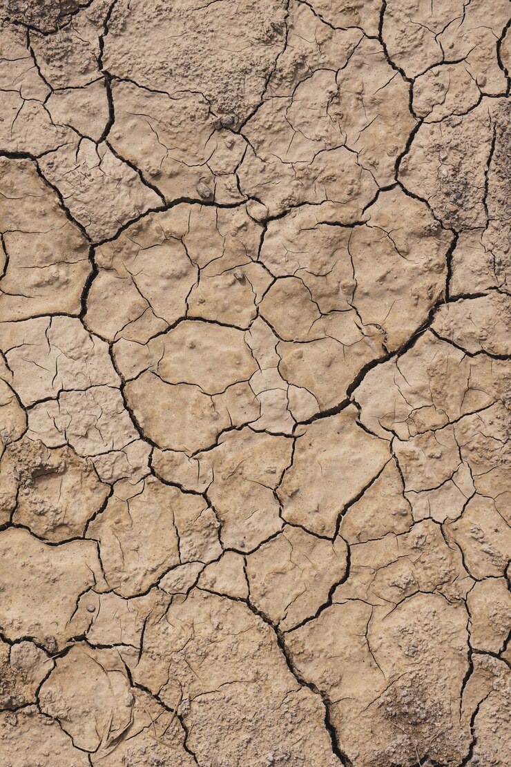 Postre suelo fondo cambio climático calentamiento global