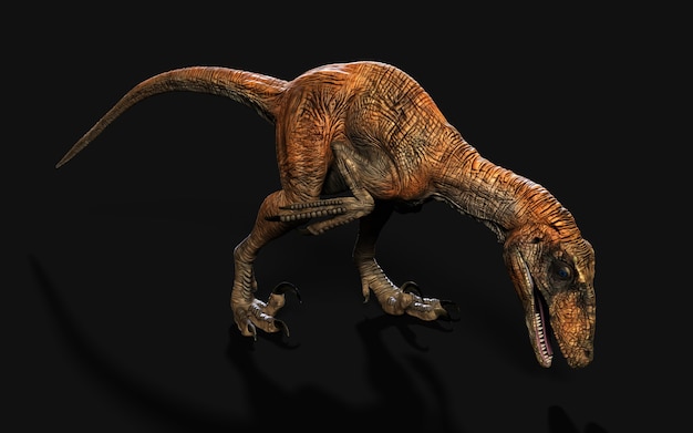 Postura de deinonychus antirrhopus, os dinossauros mais icônicos e representativos