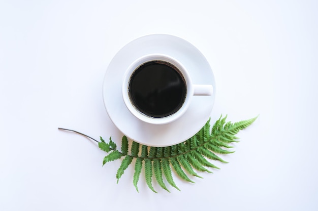 Postura plana de café quente americano escuro em xícara de café branco com folhas verdes de samambaia em background branco