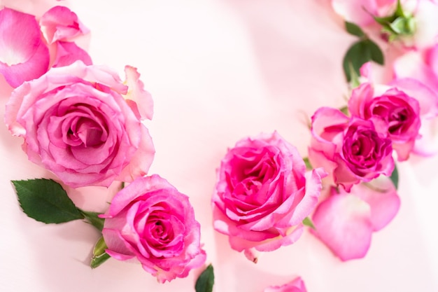 Postura plana. Rosas cor de rosa e pétalas de rosa em um fundo rosa.