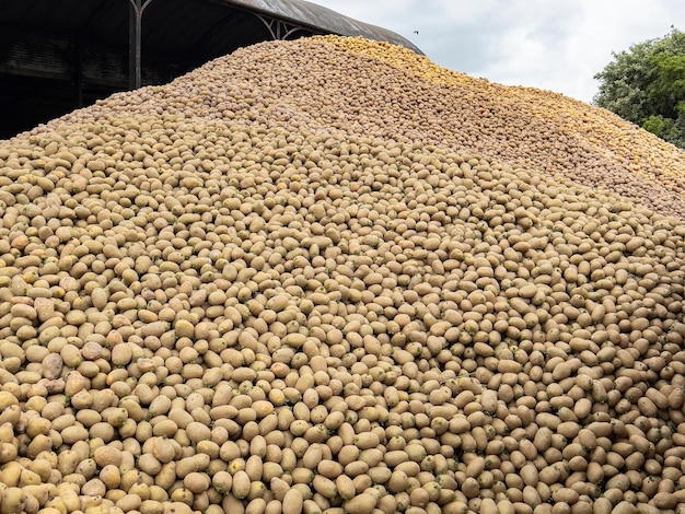 Potato Mountain Yorkshire Inglaterra