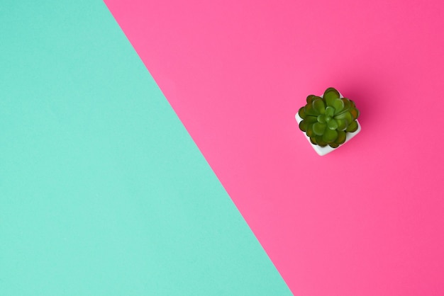 Pote de cerâmica branca com planta em um verde rosa