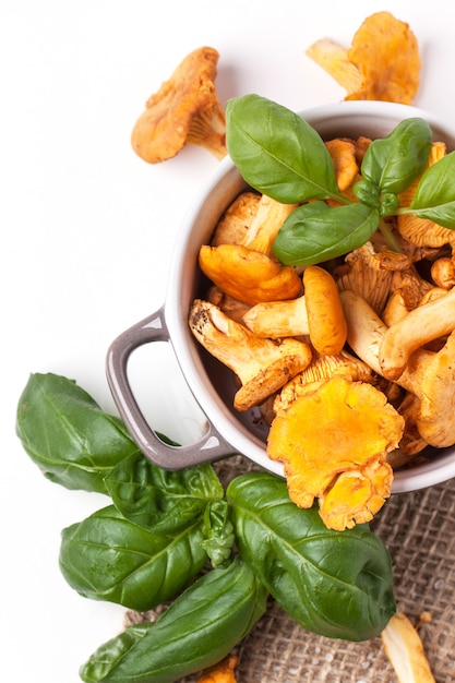 Pote de chanterelles