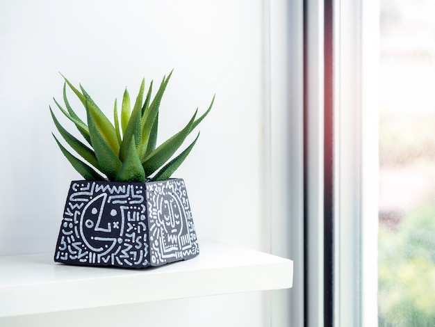 Pote de concreto preto DIY, forma de pirâmide com arte, desenho com planta suculenta verde em uma prateleira de madeira branca perto da janela de vidro. Plantador de cimento pintado de cor única.