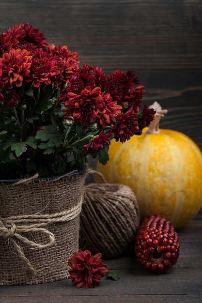 Pote de flores de crisântemo vermelho