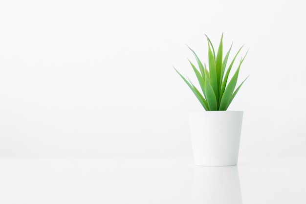 Potenciômetro de flor para a decoração interior do quarto no fundo branco da tabela com espaço da cópia