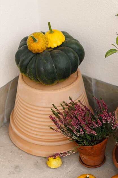 Potes de calabazas de otoño con crisantemos y brezo cerca de la puerta de entrada de madera Decoración de otoño elegante de la entrada de la granja o el porche Disposición de otoño