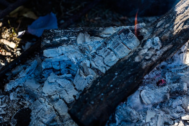 Potes de água fervente na fogueira de acampamento com madeira.