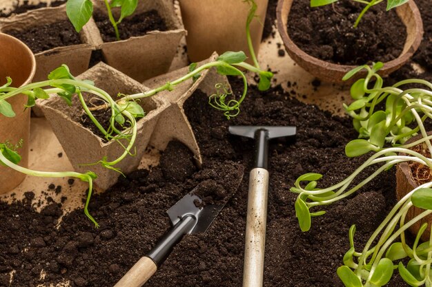 Potes de turfa e papel com mudas Ferramentas de jardim e solo