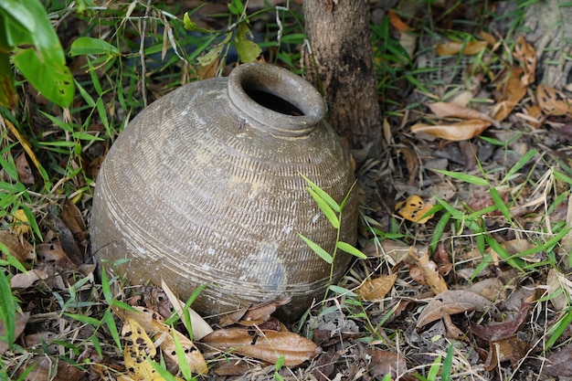 Potes velhos foram abandonados na floresta