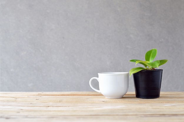 Pothos (epipremnum aureum) na mesa de madeira