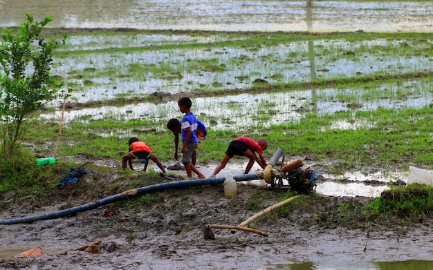 Poucas crianças brincam no campo enlameado. Tempo nublado, paisagem de aldeia.