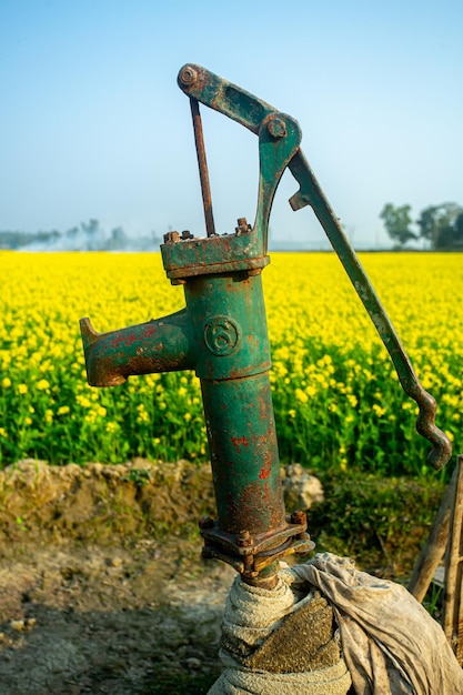 Pozo de tubo de agua manual utilizado para suministrar agua a tierras agrícolas Flor de mostaza amarilla hermoso paisaje con pozo de tubo de agua manual