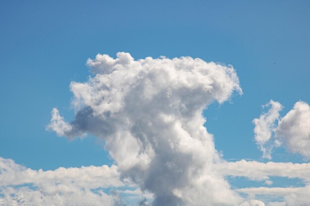 Üppige weiße Wolke im blauen Himmel hautnah