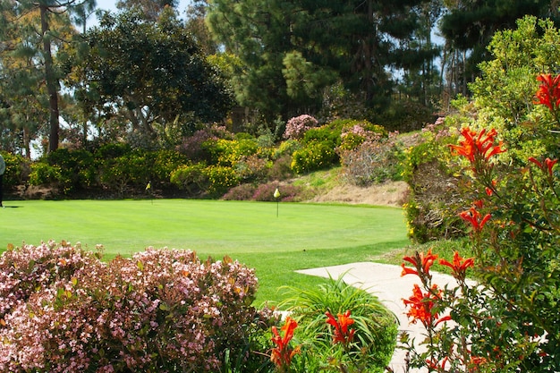 Práctica de campo de golf Putting Green entre flores