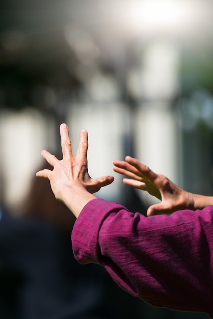 Práctica de Tai Chi Chuan en exteriores