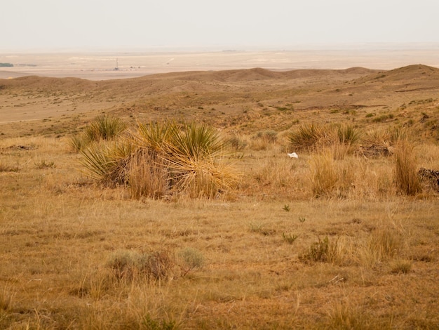 Pradaria sem fim em pawnee national grassland em weld county, nordeste do colorado.