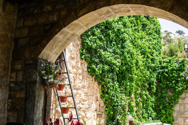 pradera al aire libre montañas del líbano plantas de escalera patio