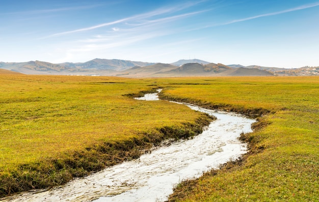 Pradera de mongolia interior