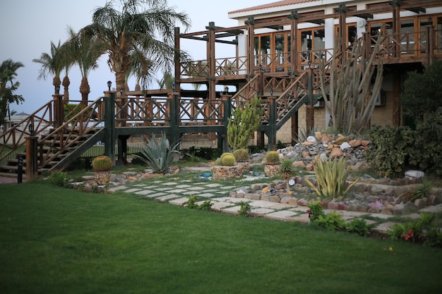 La pradera verde con árboles en el jardín tropical Egipto