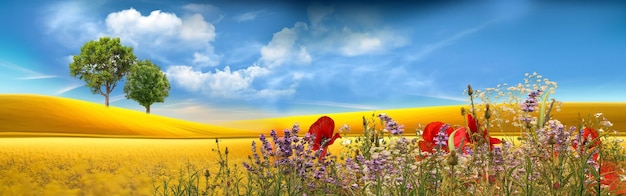 Prado de árboles de trigo y flores silvestres en el campo luz del sol cielo azul con nubes blancas verano