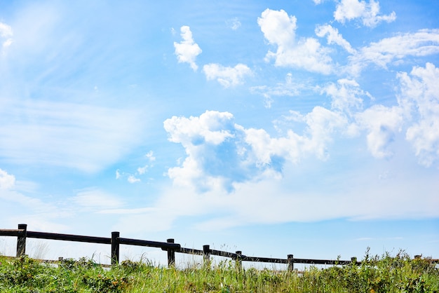 Foto prado, cielo soleado y nubes de verano en buen día