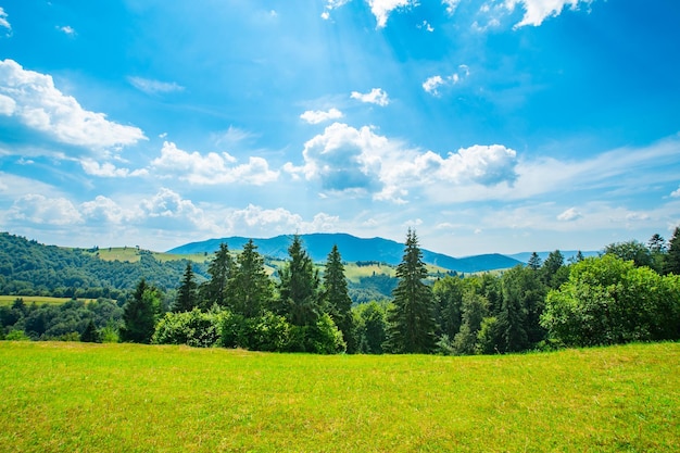 Prado cubierto de hierba cerca del bosque y la cordillera