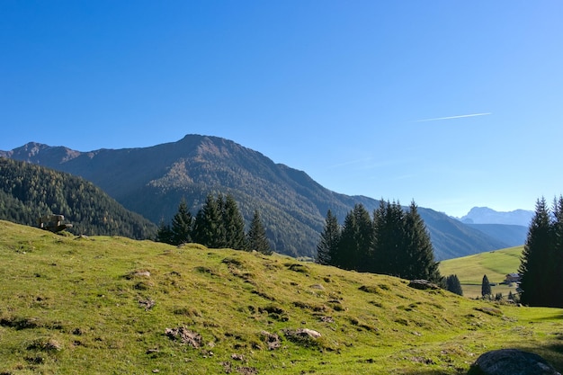 Prado de montanha nos Alpes