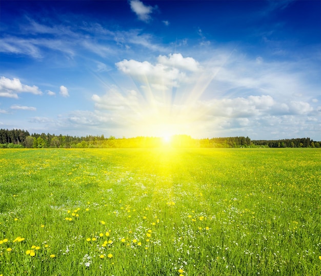 Foto prado de verão ao pôr-do-sol com céu azul e raios de sol