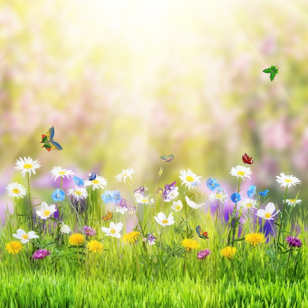Prado floral de primavera hermosa con flores silvestres y mariposas