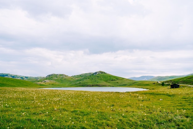 Prado floreciente cerca del lago vrazje montenegro